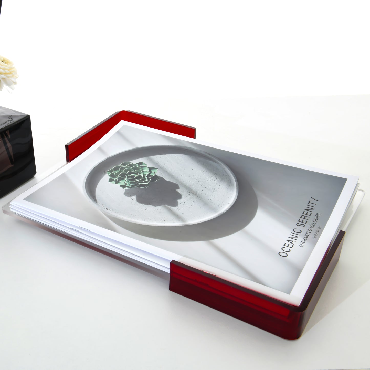 AIMOLLY Acrylic large-capacity storage tray hotel sink cup holder is suitable for storage trays such as cosmetics, documents, stationery, and jewelry displays.(Model AML-034)