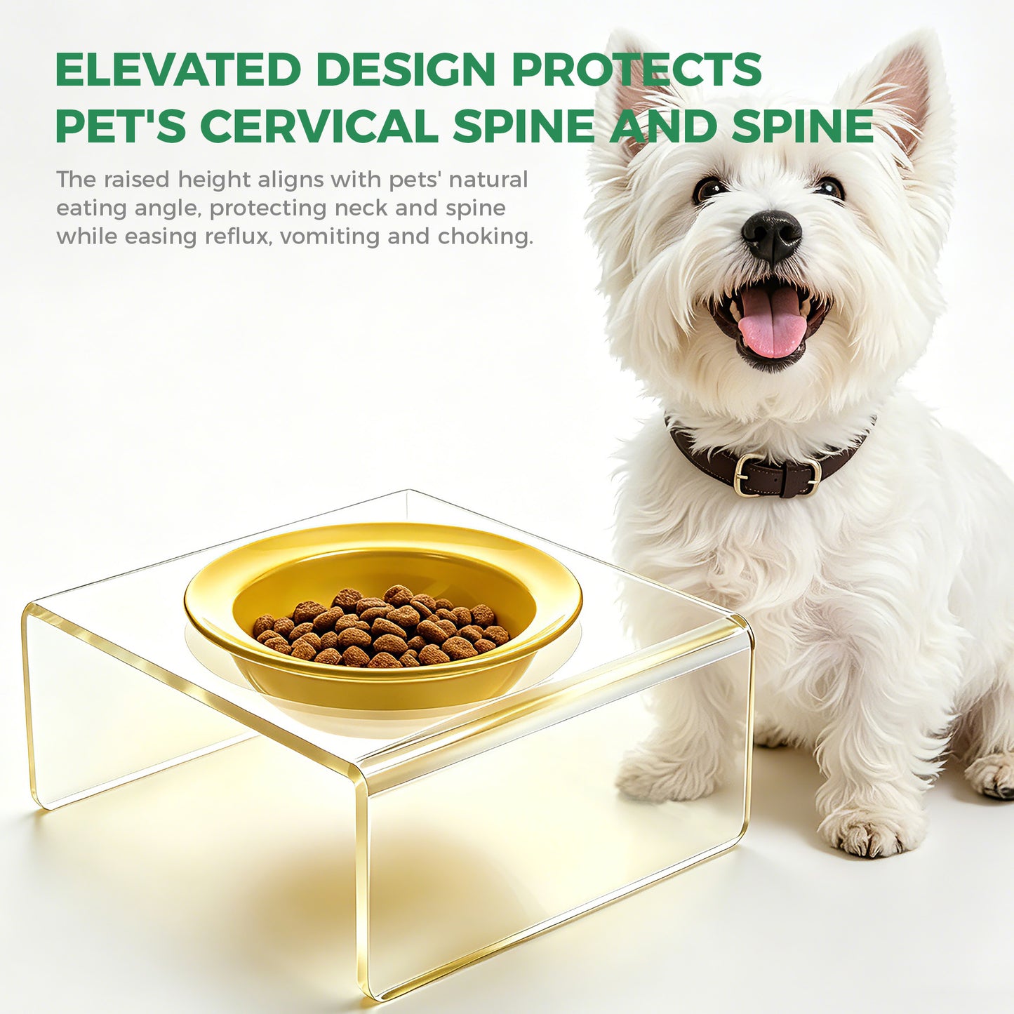 AIMOLLY  3-color acrylic high-rise dog/cat feeder. High-rise dog/cat feeder. Perfect for cats and puppies. Model: AML-PE25-0014/15/16