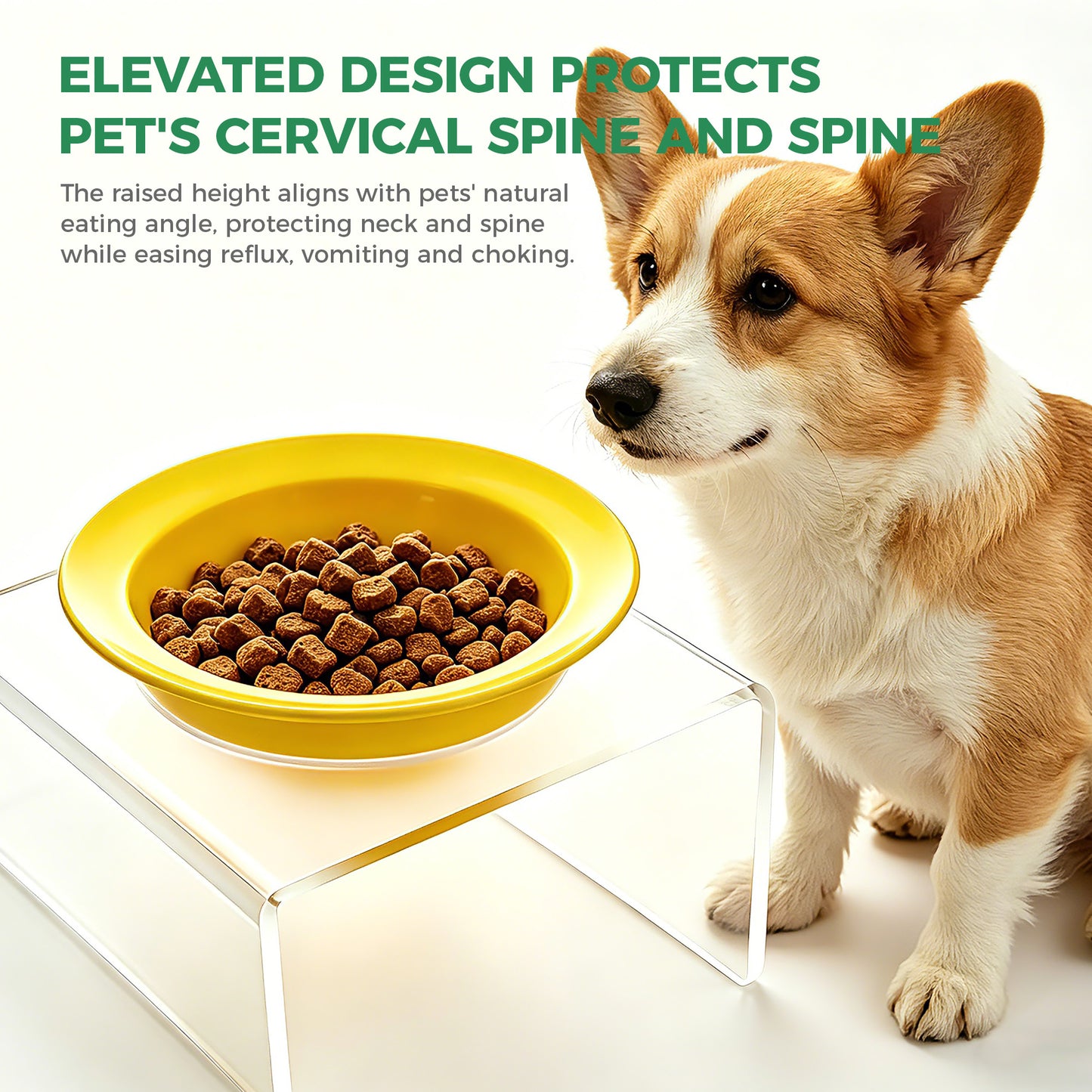 AIMOLLY acrylic  Elevated Dog/Cat Feeder， Elevated Dog/Cat Feeder，AML-PE25-0012/13