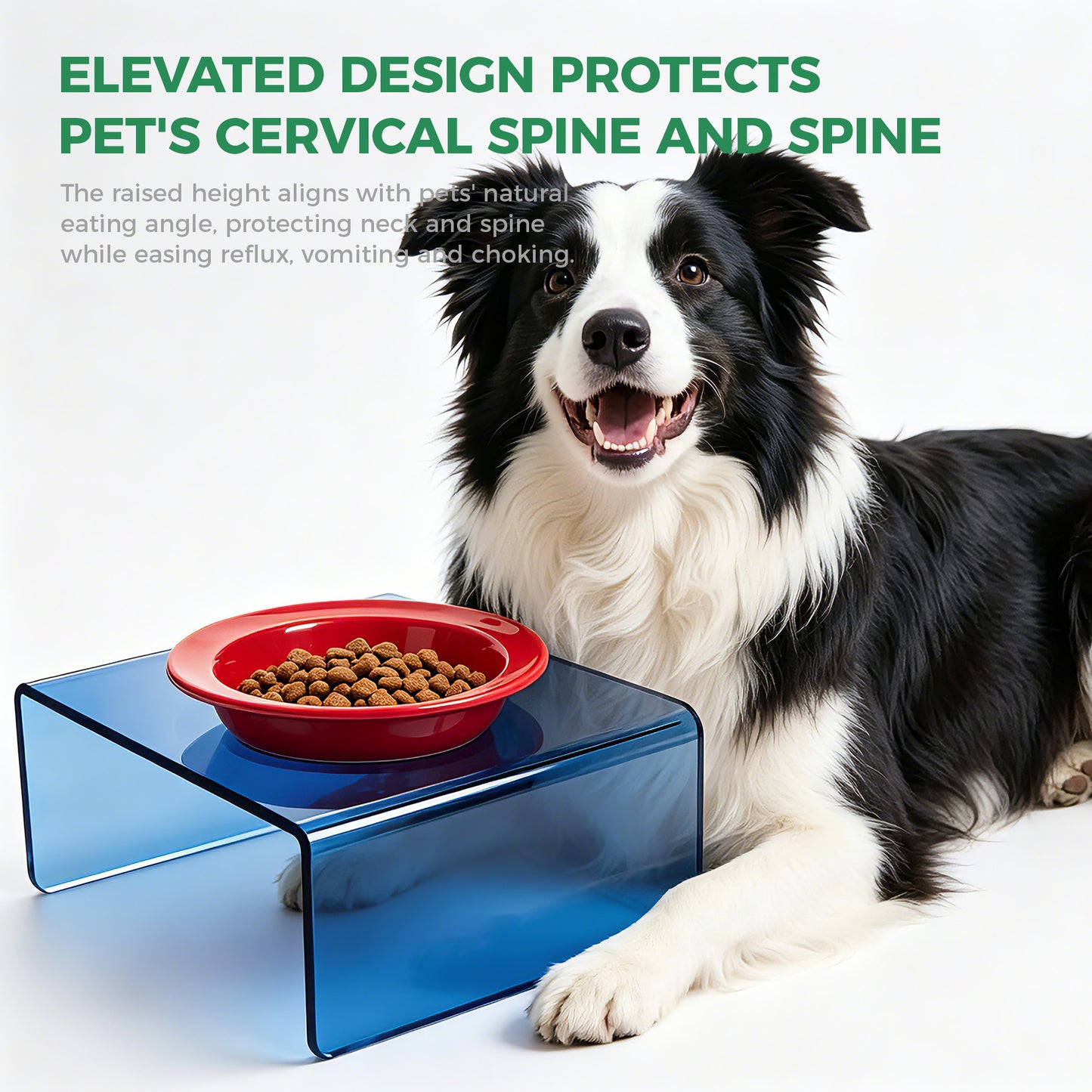 AIMOLLY  3-color acrylic high-rise dog/cat feeder. High-rise dog/cat feeder. Perfect for cats and puppies. Model: AML-PE25-0014/15/16