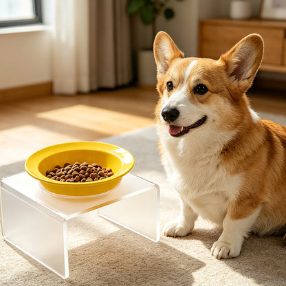 AIMOLLY acrylic  Elevated Dog/Cat Feeder， Elevated Dog/Cat Feeder，AML-PE25-0012/13