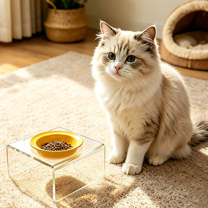 AIMOLLY  3-color acrylic high-rise dog/cat feeder. High-rise dog/cat feeder. Perfect for cats and puppies. Model: AML-PE25-0014/15/16