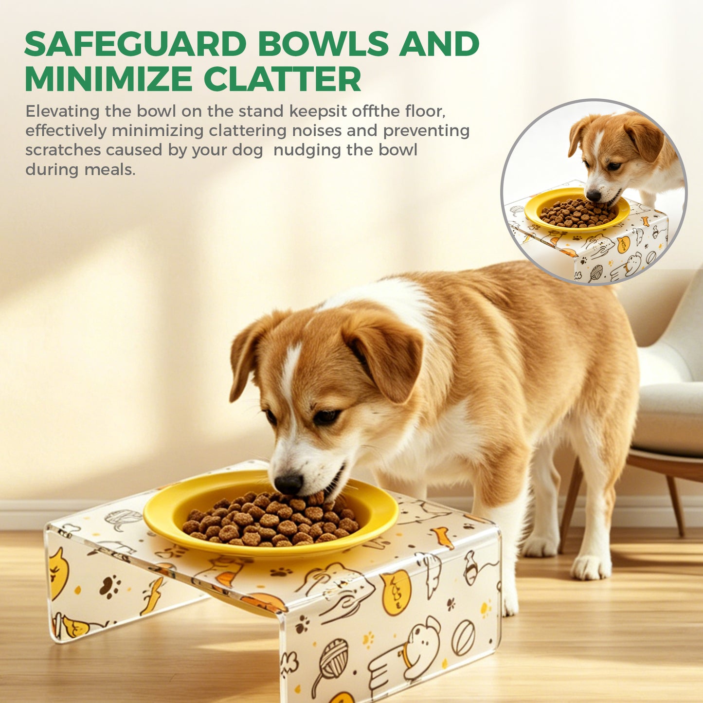 AIMOLLY  3-color acrylic high-rise dog/cat feeder. High-rise dog/cat feeder. Perfect for cats and puppies. Model: AML-PE25-0014/15/16