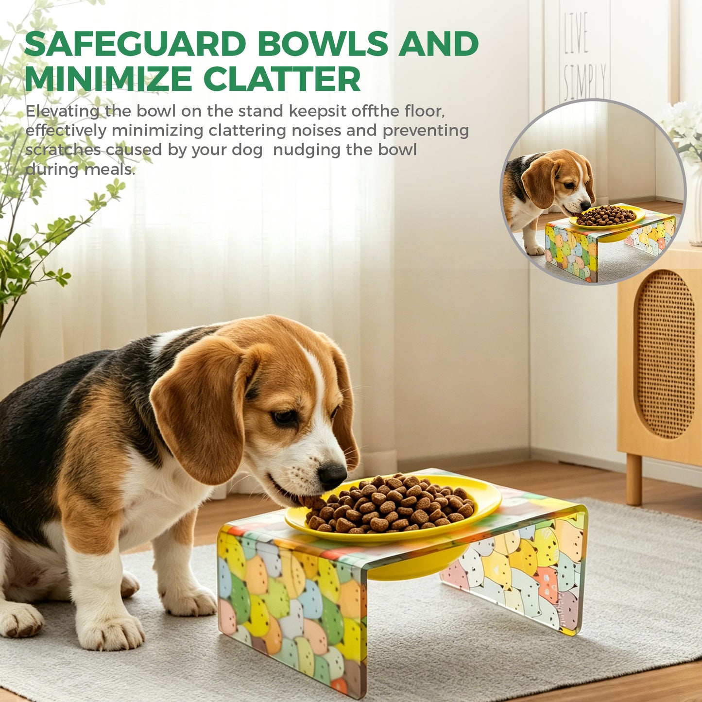 AIMOLLY acrylic Angled Elevated Dog/Cat Feeder. High-rise dog/cat feeder. Perfect for cats and puppies. Model: AML-PE25-0017