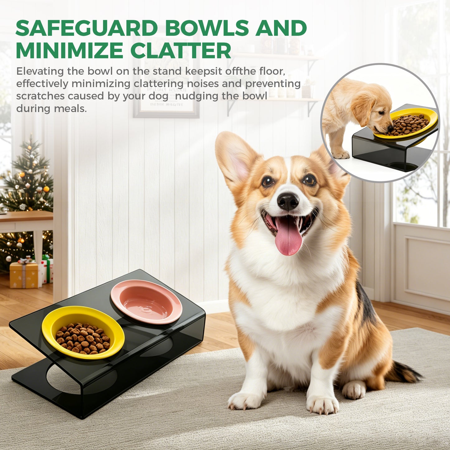 AIMOLLY acrylic  Model H Elevated Dog/Cat Feeder， Elevated Dog/Cat Feeder，AML-PE25-0018/19